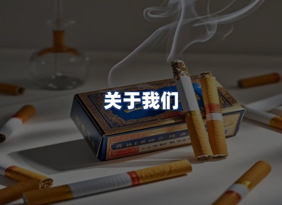 关于我们